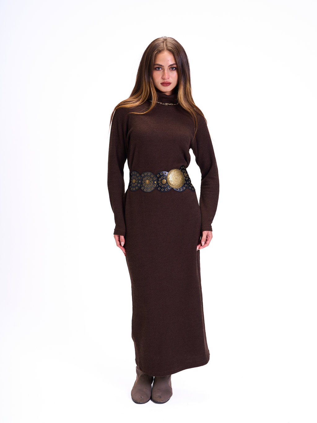 The All-Day Dress brown